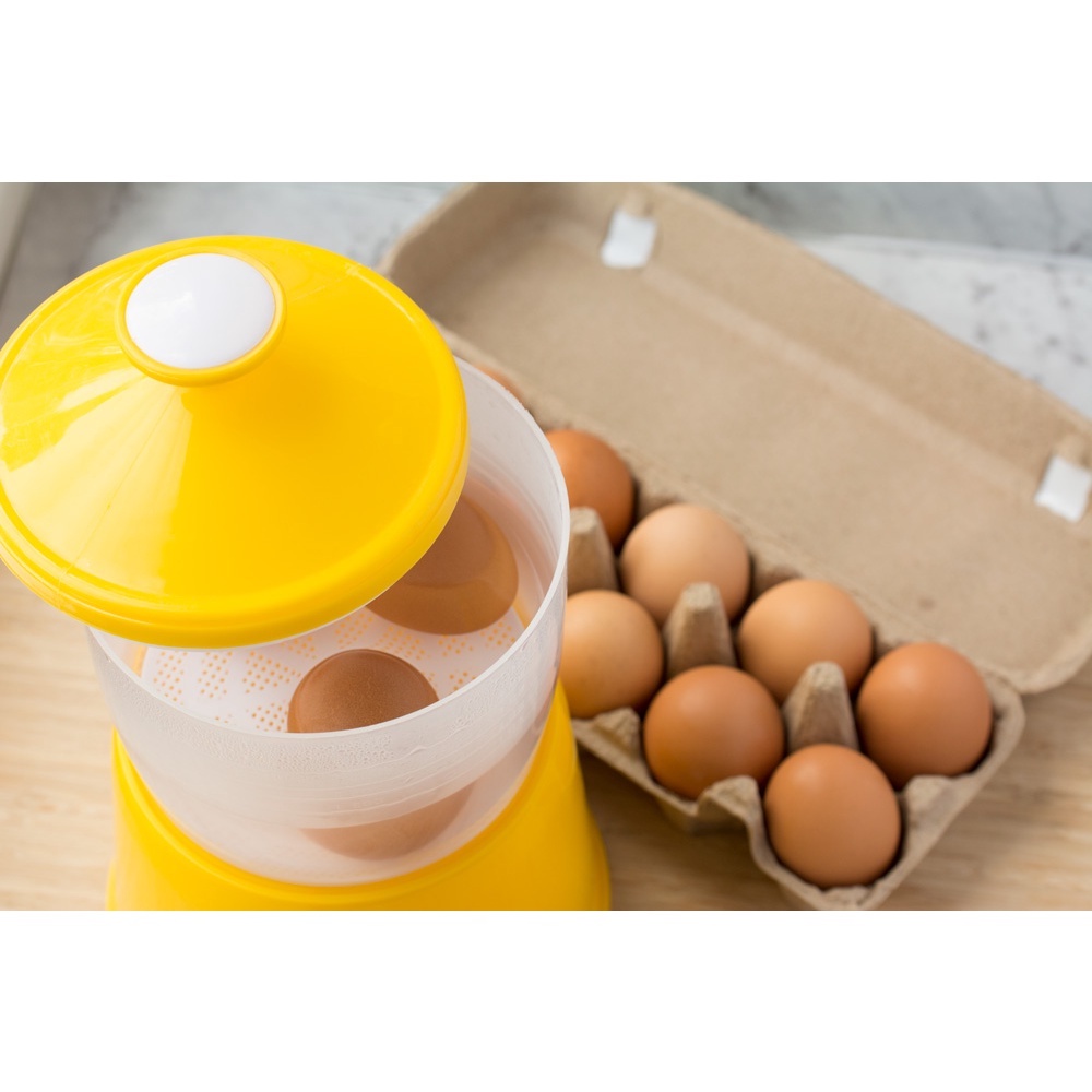 Felton Half Boiler Egg Maker Cooker I FEC 398 Shopee Malaysia