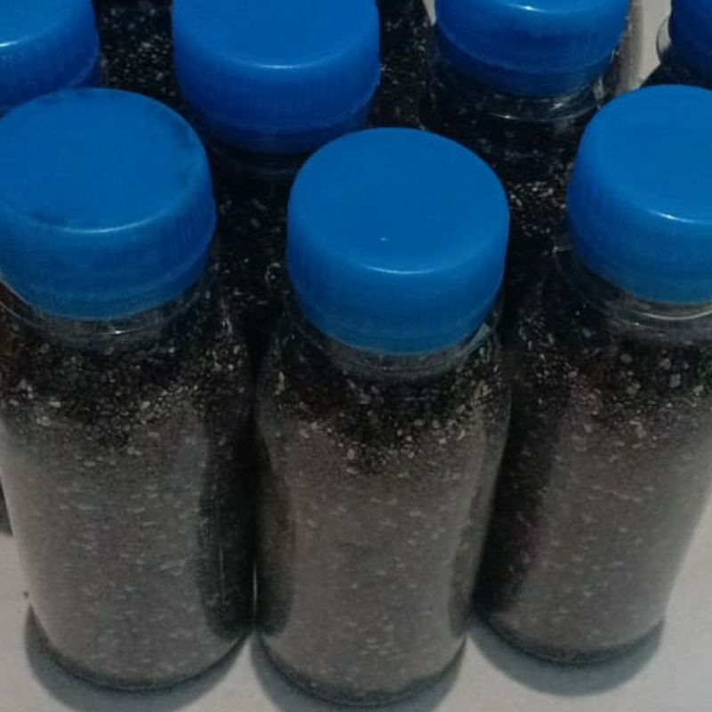 Organic Chiaseed Mexican repacking 100gr | Shopee Malaysia