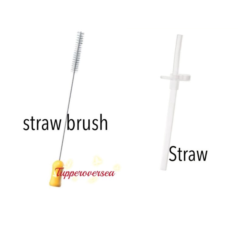 Tupperware Eco Bottle Straw Brush / Straw Shopee Malaysia