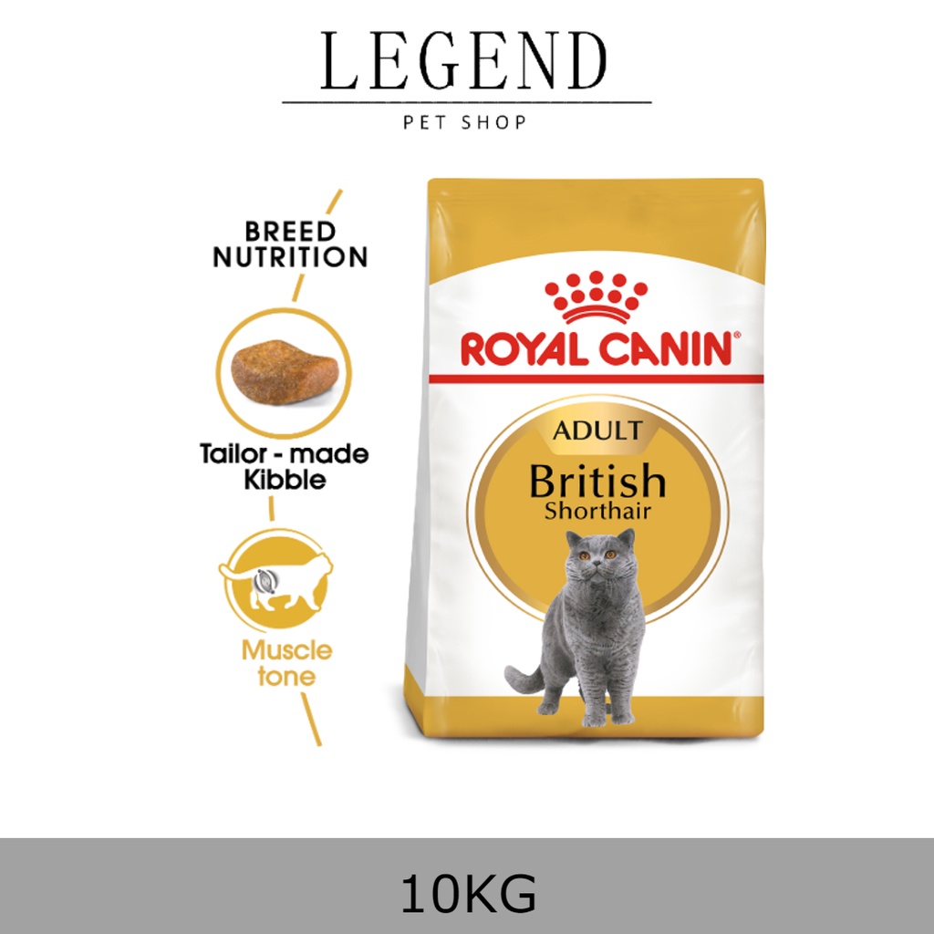 Royal canin british shorthair best sale adult 10kg