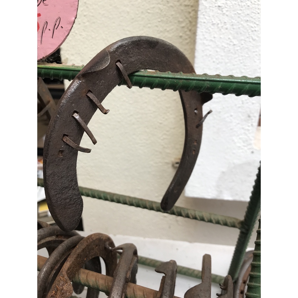 Lucky Large Worn/Used Horseshoe (Ladam Kuda/ KUTHIRAI LAADAM) Gift