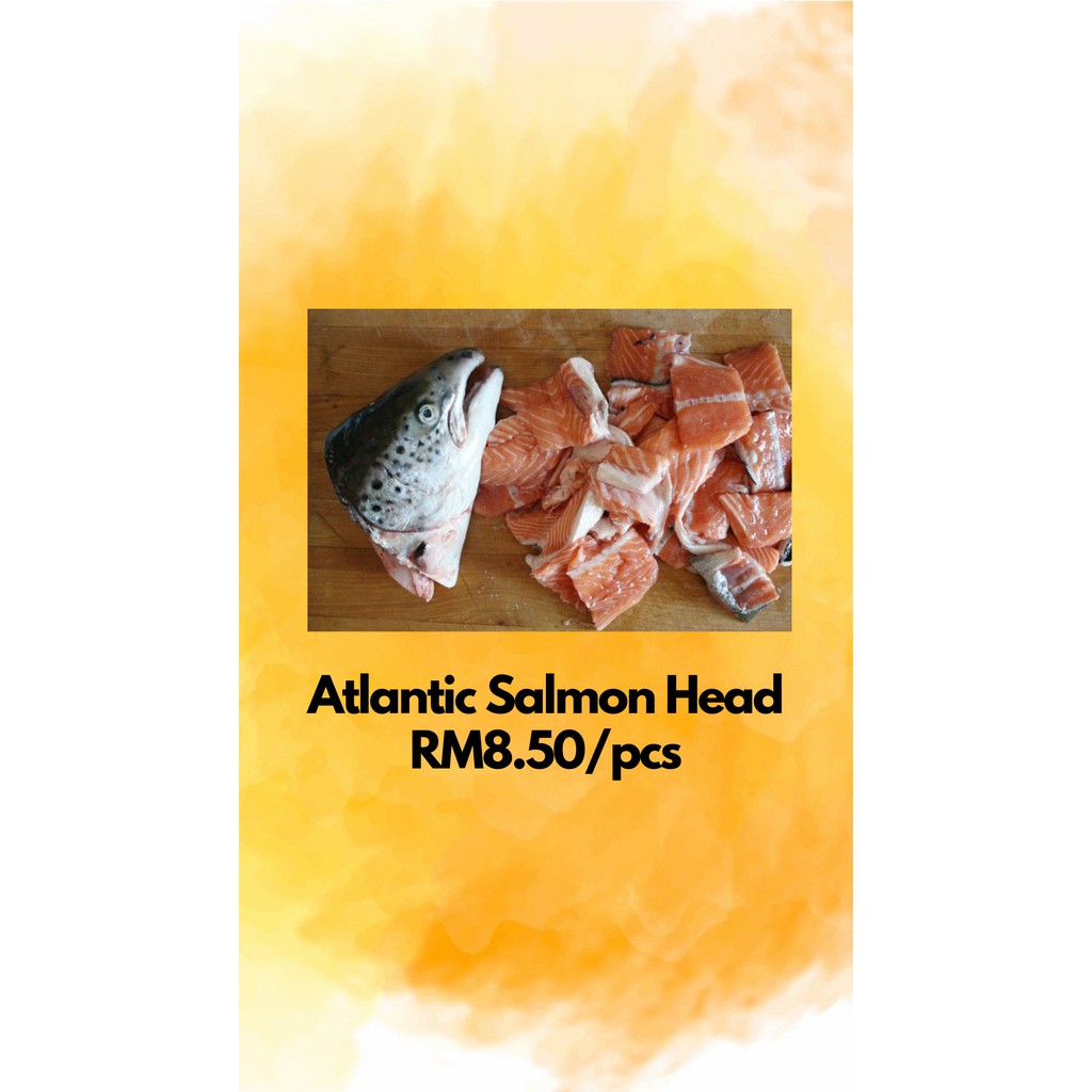 Atlantic Salmon Head OceanOishii Shopee Malaysia