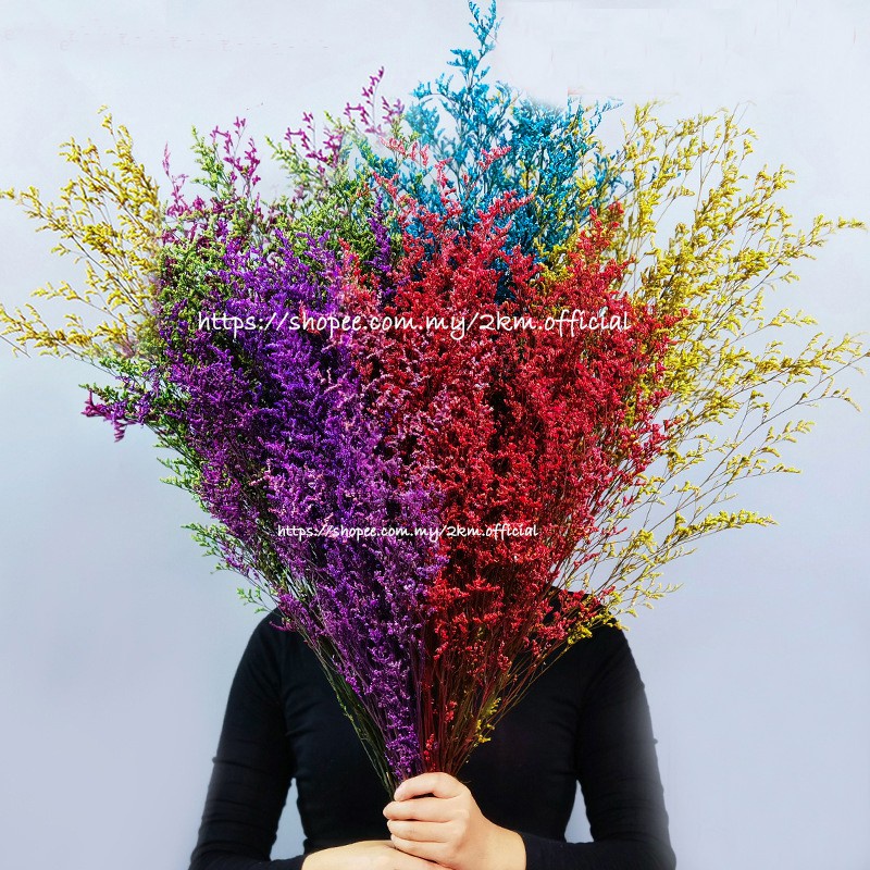 60G CASPIA Limonium Dried Dry Preserved Artificial Flower Bouquet ...