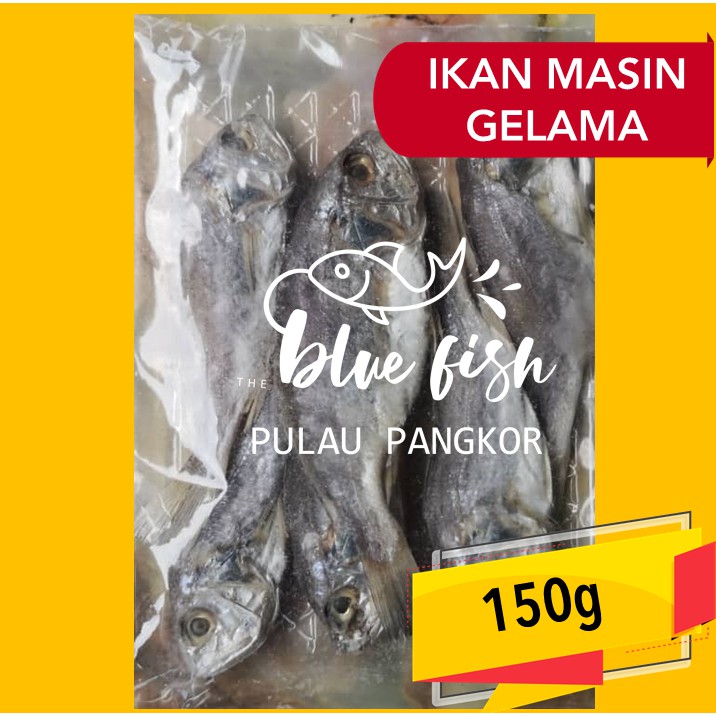 [stock Sedia] Ikan Masin Gelama Pulau Pangkor Shopee Malaysia