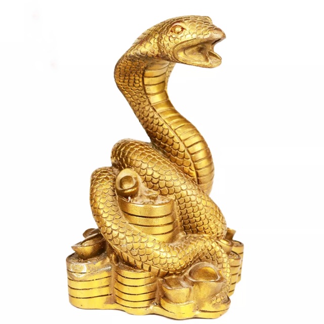 Amazon.com: RWSEFK 新中聚宝盆蛇【礼盒装】 22 * 15 * 25cm/绒