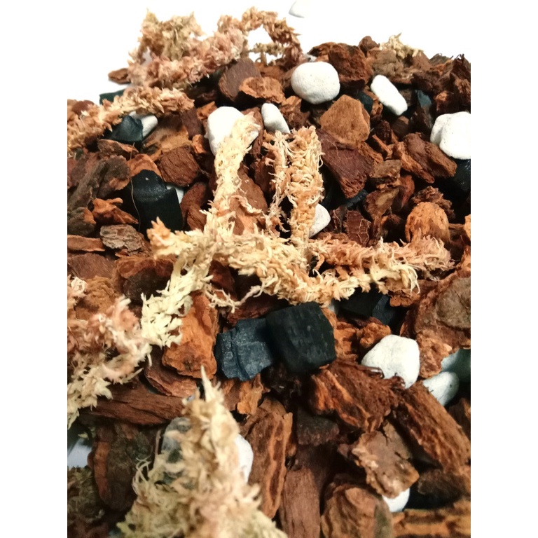 Phalaenopsis XL Potting Mix (2 Liter) Shopee Malaysia