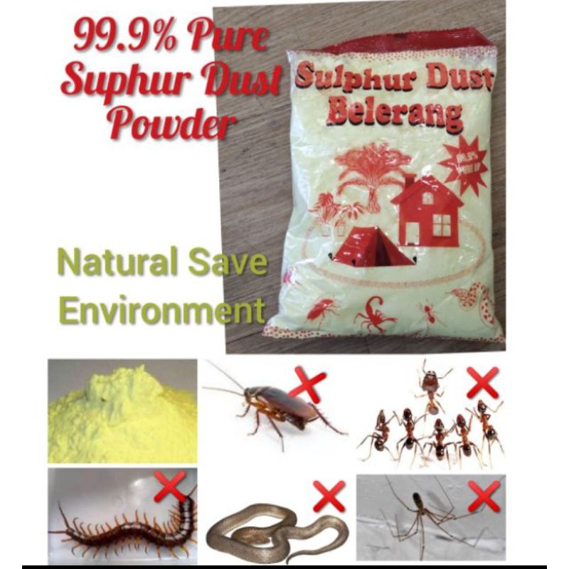 Belerang / Sulphur Powder | Shopee Malaysia