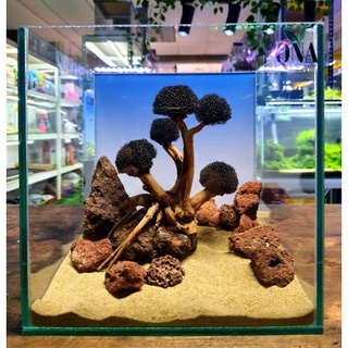 Aquascape starter kit hotsell