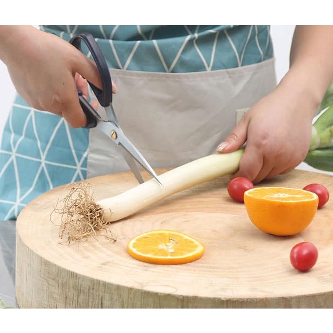 Zhang Xiao Quan Stainless Steel Kitchen Scissors Office Garden Gunting ...