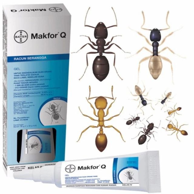 Bayer Makfor Q Ant Gel Semut Killer 30gm Original Pest Control | Shopee ...
