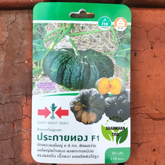 Mini Pack 30 Seeds PRAKAITHONG F1 Biji Benih Labu Madu Besar F1 Hybrid ...