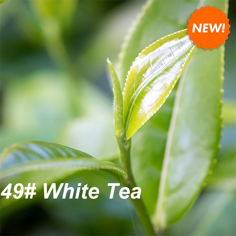 CandleScience 49 White Tea, Candle/Soap/Lotion/Diffuser Oil, 50ml