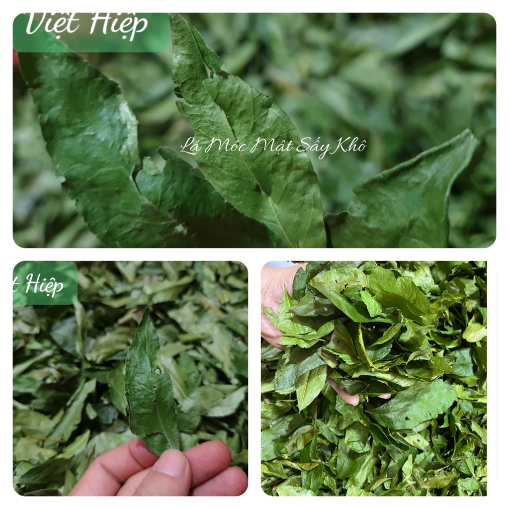 Viet Hiep Dried Honey Leaves Pack 250g Shopee Malaysia
