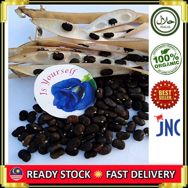 Blue Pea Flower Seeds