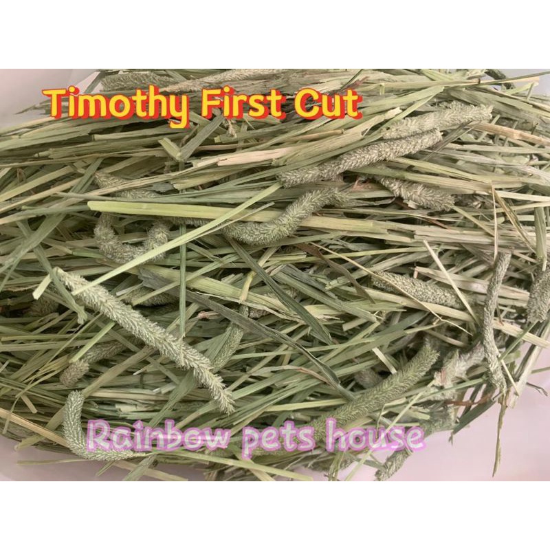 First cut / Premium cut Timothy Hay From US 1kg | Shopee Malaysia