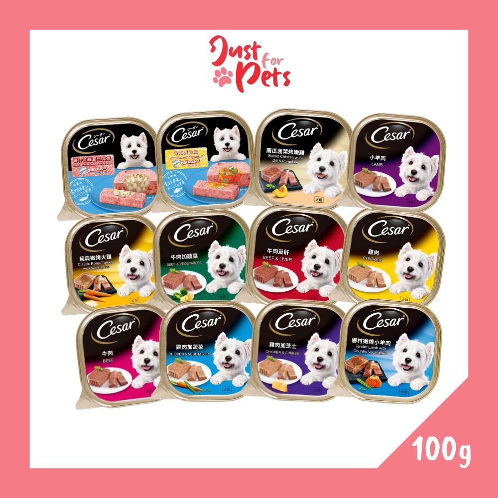 Cesar 100g best sale