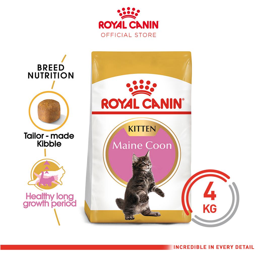 ROYAL CANIN Maine Coon Kitten Dry Cat Food (4kg) Shopee Malaysia