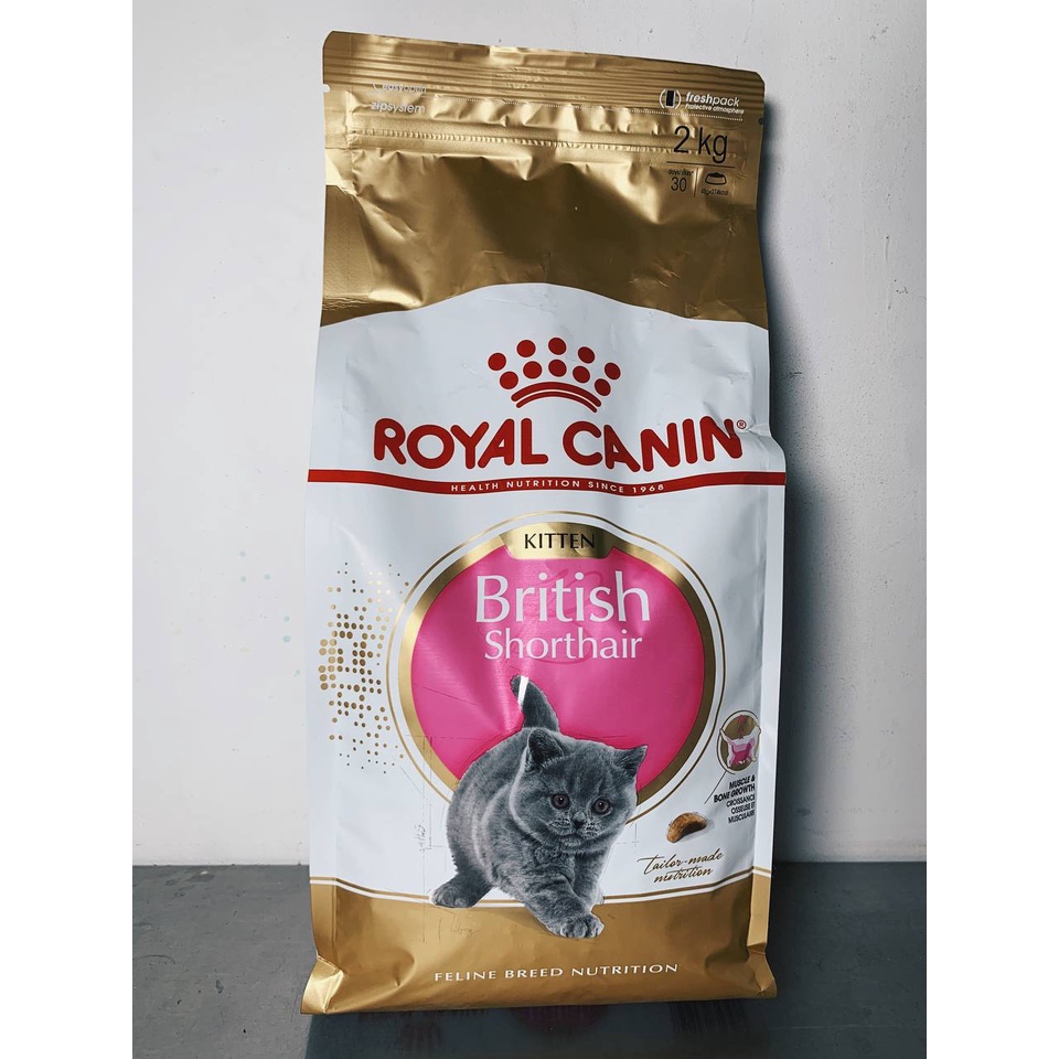 Royal canin kitten british best sale shorthair 2kg