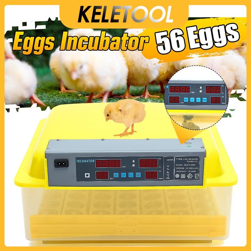 HHD 56 Egg Incubator Hatchery Machine Fully Automatic Eggs Temperature