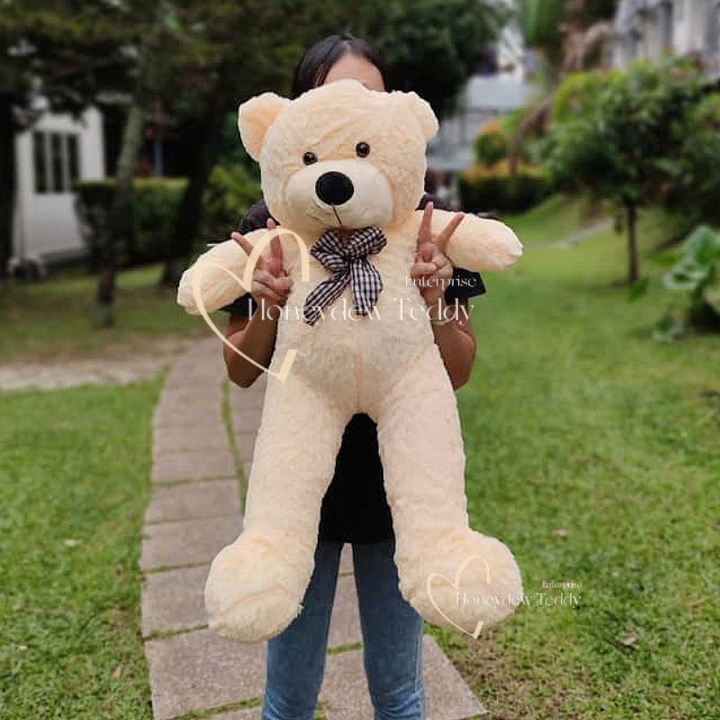 STOCK in KL 60 80cm Teddy Bear Teddy Bear Besar Murah Plushie Soft Toy Stuffed Animals Anak Patung Gifts Shopee Malaysia