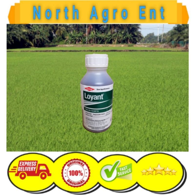 Loyant Racun rumput padi Dow AgroScience -500ml | Shopee Malaysia