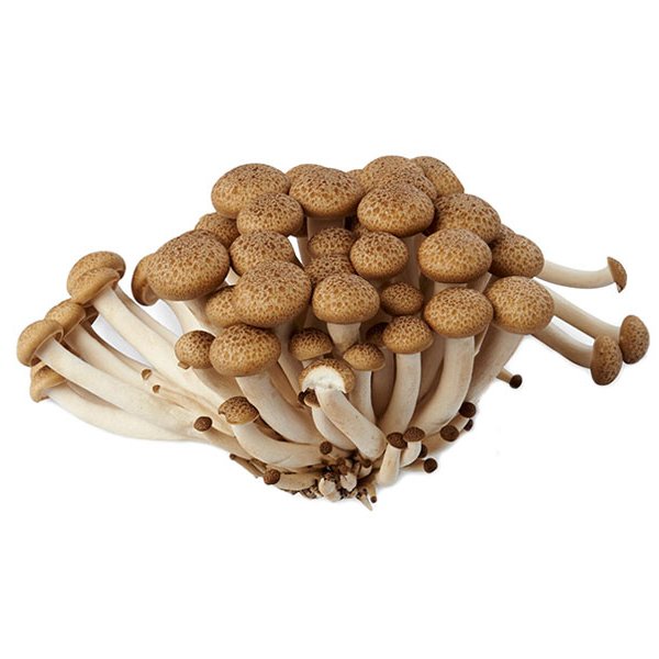BROWN SHIMEJI MUSHROOM 1 PKT Shopee Malaysia