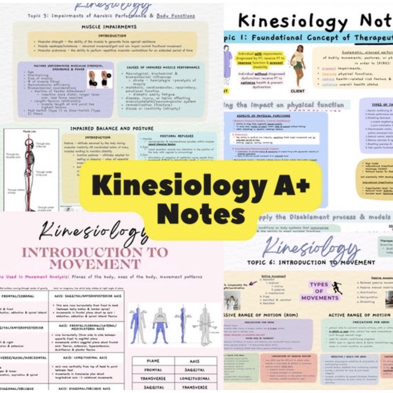 Introduction to Kinesiology A+ Notes | Shopee Malaysia