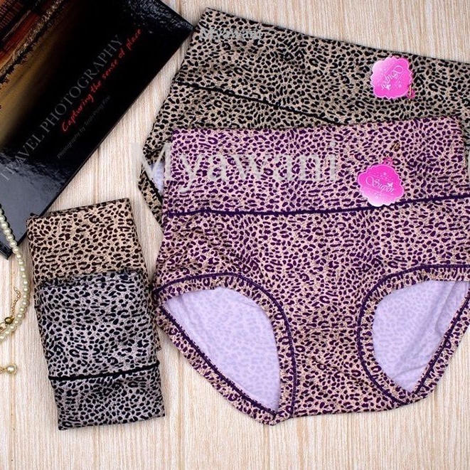Shape Panties Plus Size XL ~ XXL Leopard Printed High Waist