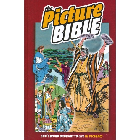 The Picture Bible, Hardcover * By Iva Hoth * Children Storybook ...