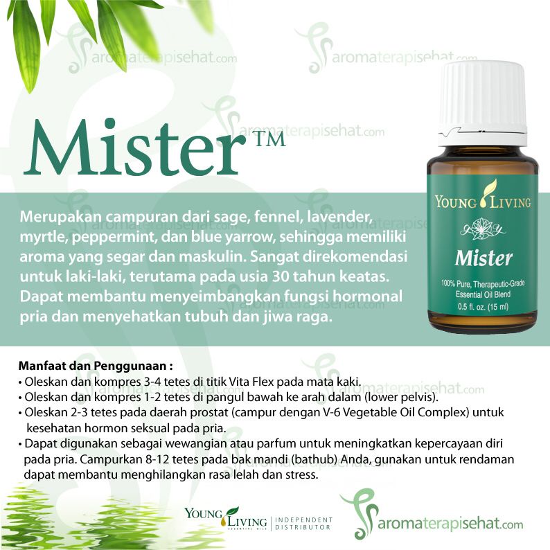 Young Living Malaysia YL Mister 15ml Essential Oil Shopee Malaysia