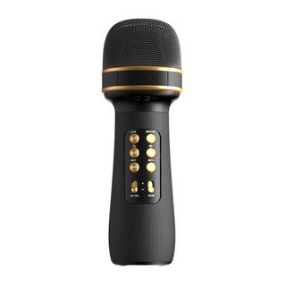 Microphone with best sale speaker attached