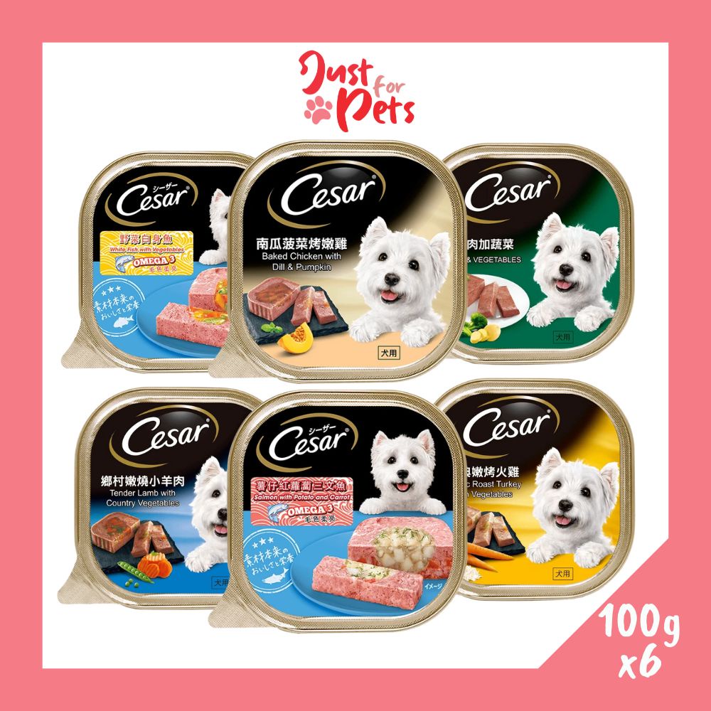 Cesar 100g Wet Dog Food x6 [chicken, beef, lamb, salmon, whitefish ...