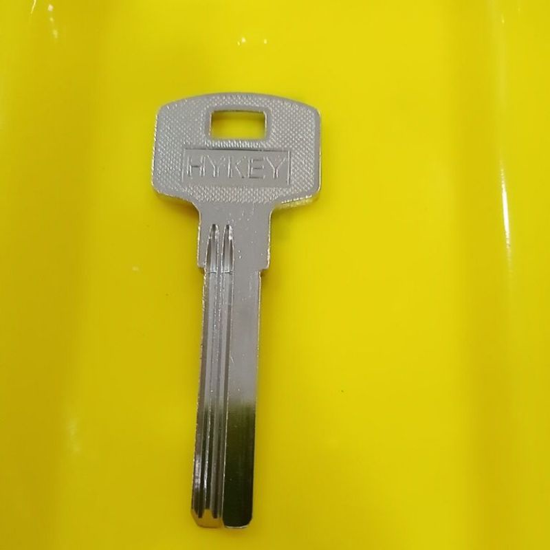 Dimple Key Blank Common use for security Door lock Shopee Malaysia