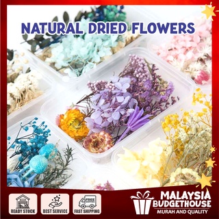 Box of Natural Dried Flowers for Soap, Candle, Frame Decor DIY