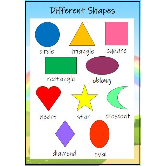 A4 Laminated Reusable Educational Shapes Charts for Kids | Shopee Malaysia