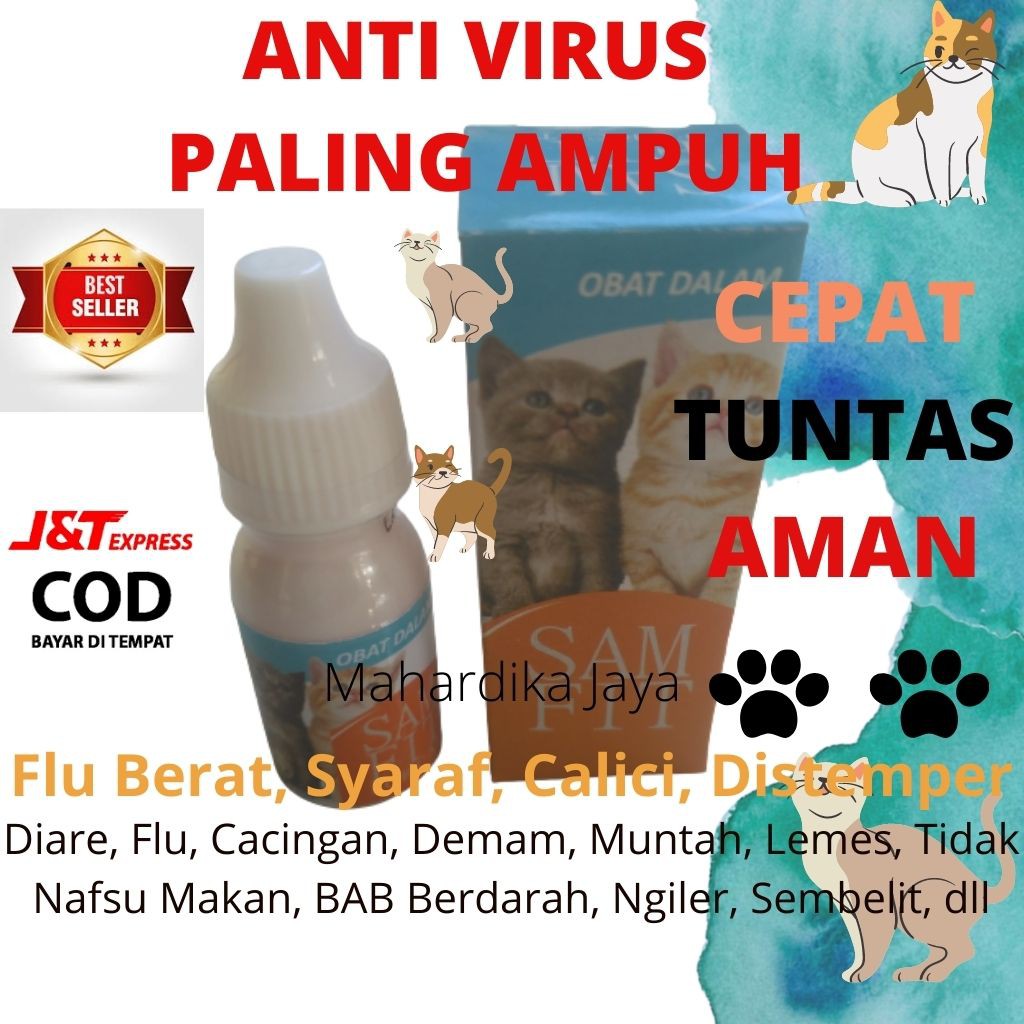 Medication for Cat Diarrhea Vomiting Weakness Doesn't Want to Eat ...