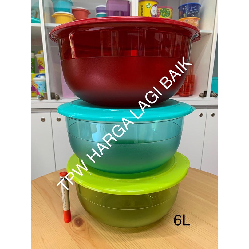 Tupperware Gourmet Legacy Bowl (4) 700ml