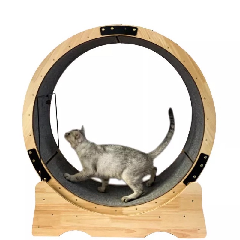 Cat/Dog Roda Wheel Running Exercise | Shopee Malaysia