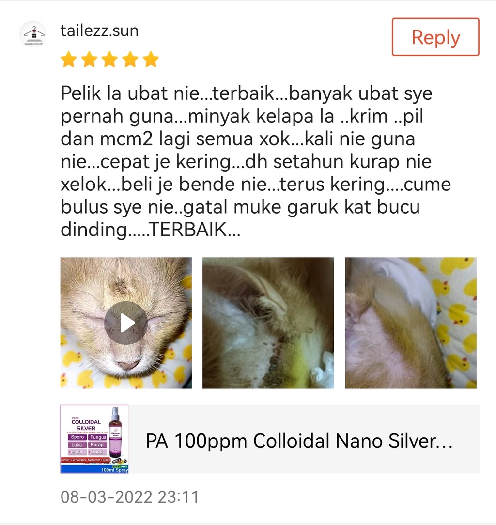 50ppm Pure Colloidal Silver 5nm Nano PA Pets Spray pet ringworm remedy ... - Cat Uti Remedy Using Colloidal Silver