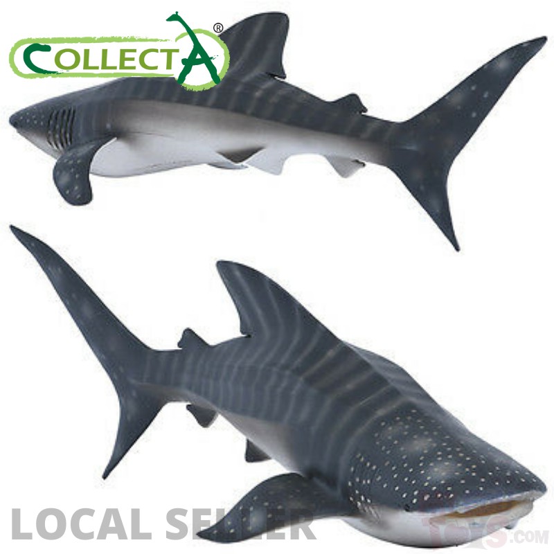 Whale Shark - CollectA 88453 Sea Life Animal Action Figurines / Toy ...