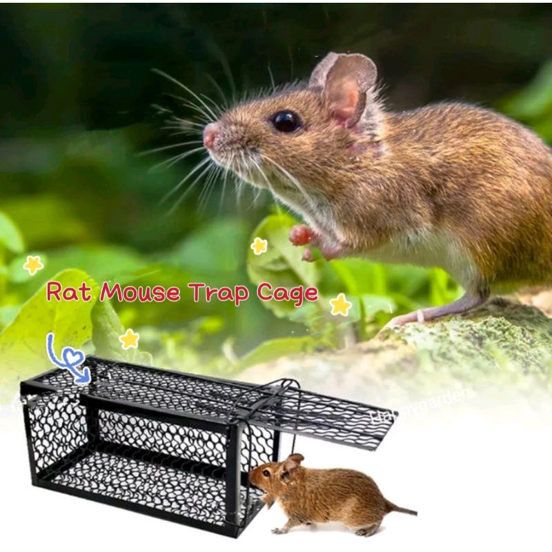 Perangkap tikus sangkar tikus perangkap besi Rat mouse trap cage ...