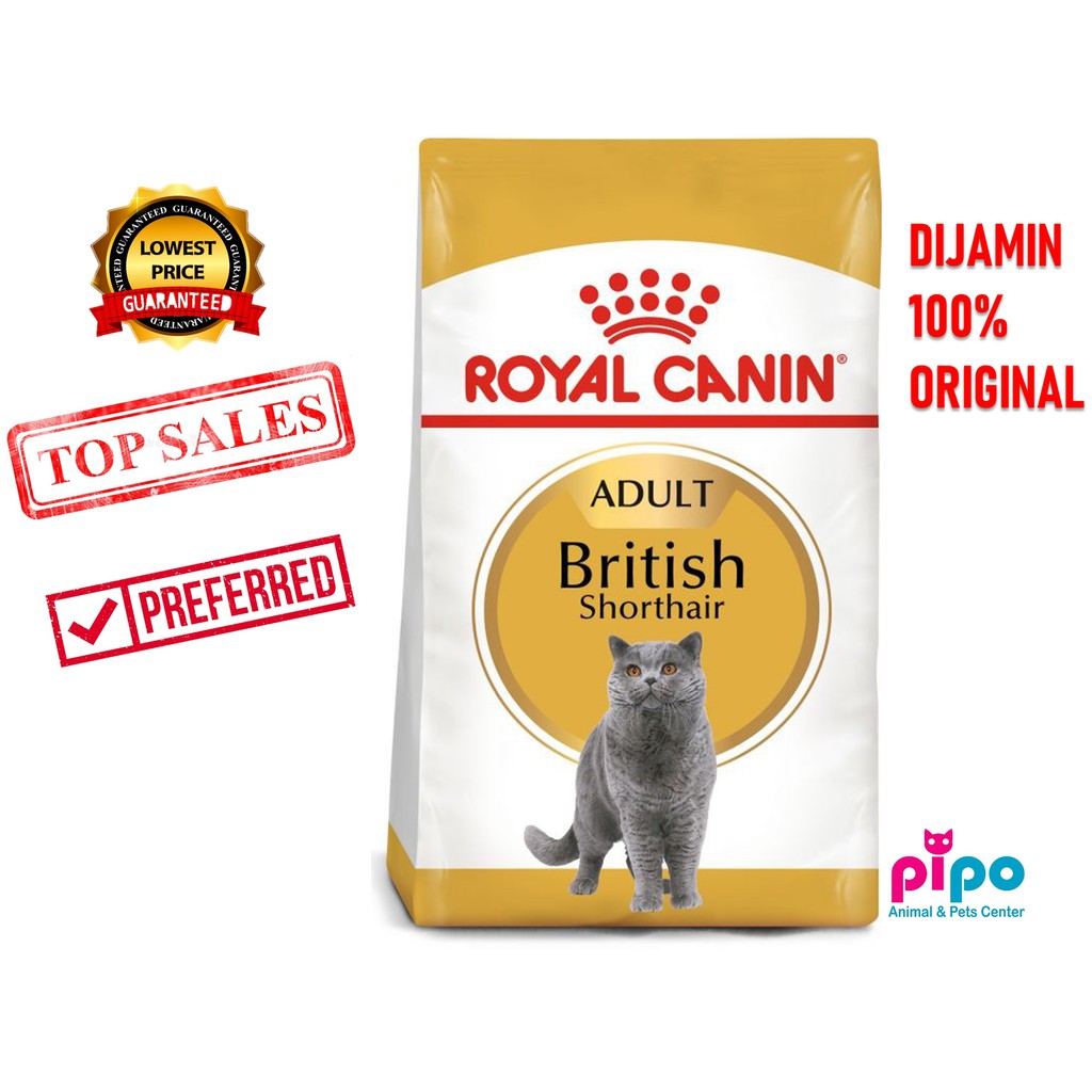 ROYAL CANIN BSH ADULT 4kg LOWEST PRICE