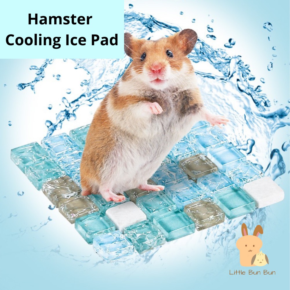 Hamster hotsell cooling pad