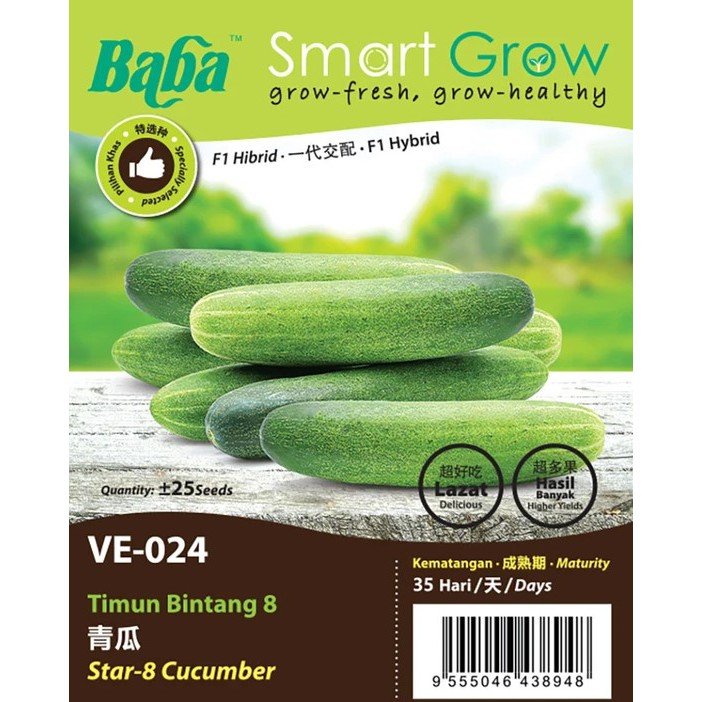 Biji Benih Baba Ve 024 Smart Grow Vegetable Seed Star 8 Cucumber