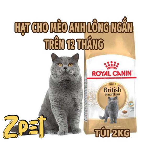 Canin British Shorthair Shorthair Short Hair Cat Food 2kg | Shopee Malaysia