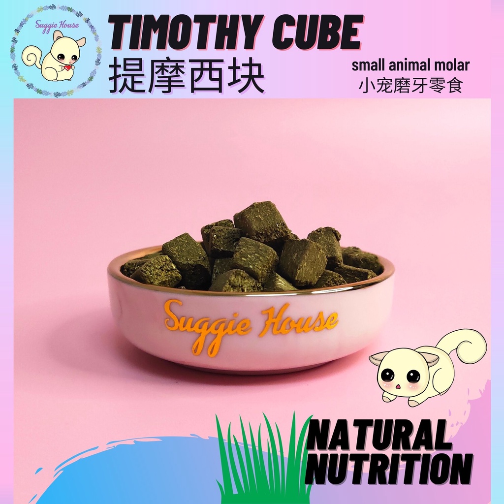 Timothy cube brick molar Sugar Glider ,Hamsters, Rabbits Small Animal ...