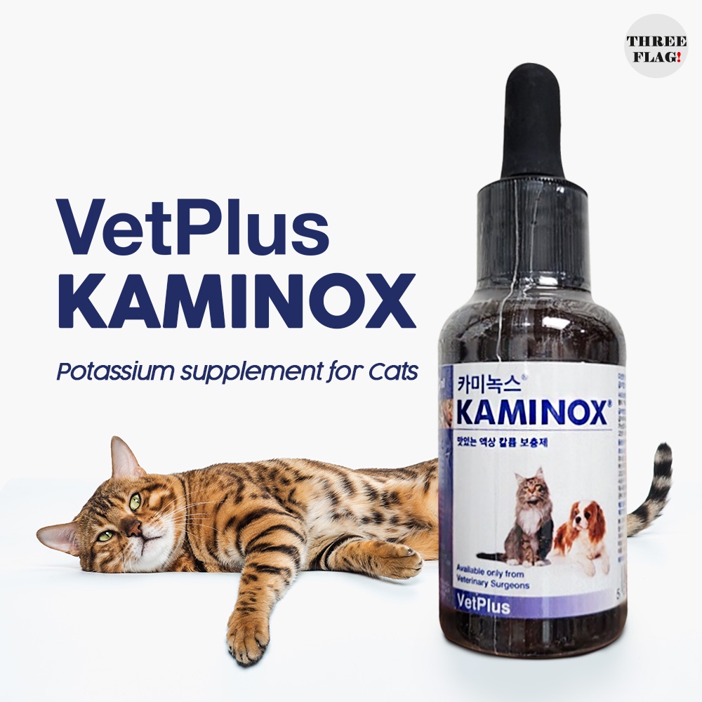 Kaminox shop for cats