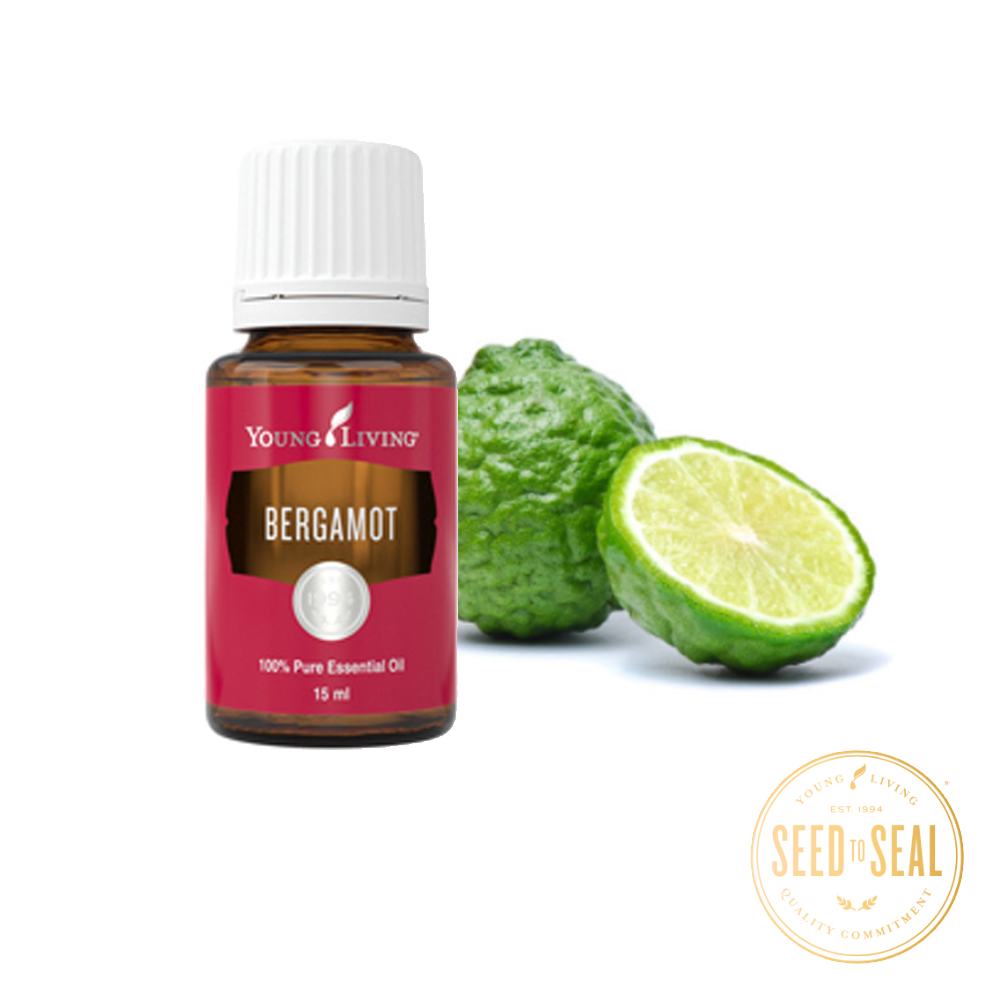 Bergamot young deals living