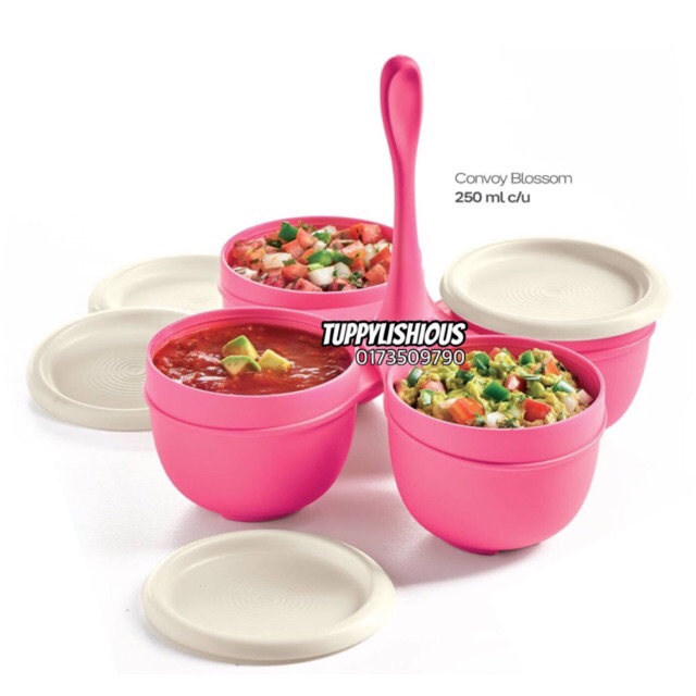 TUPPERWARE BLOSSOM CONDIMATE SET TABLETOP -IN PINK COLOR !!!