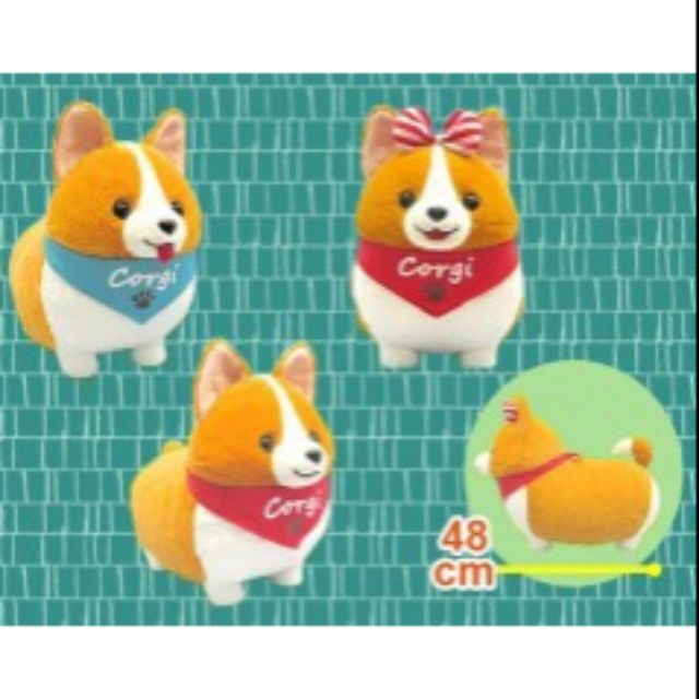 Ichini shop the corgi